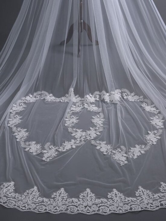 Exquisite 3M Beige Cathedral Wedding Veil